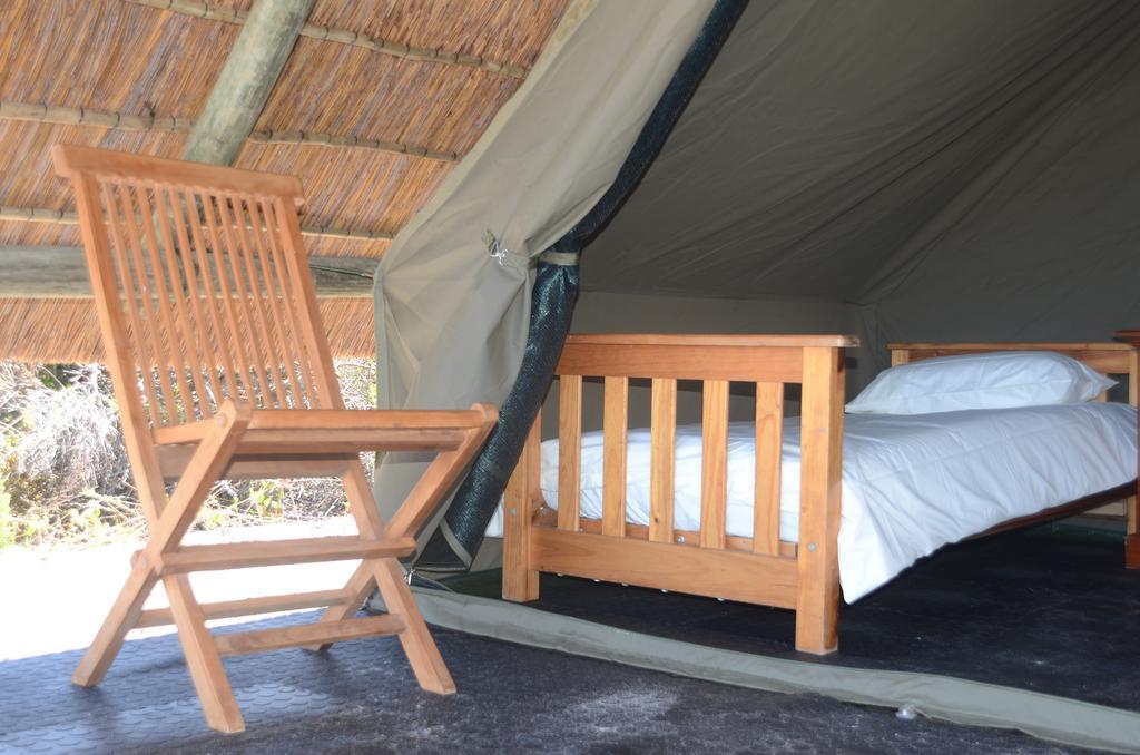 West Coast Luxury Tents Dwarskersbos Exteriör bild