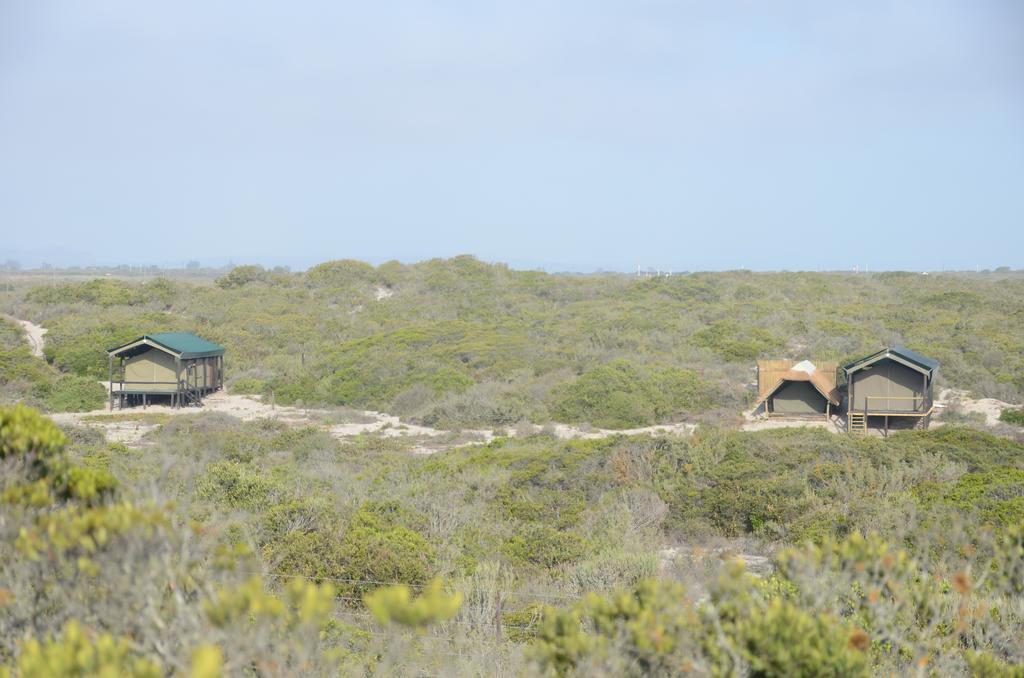 West Coast Luxury Tents Dwarskersbos Exteriör bild
