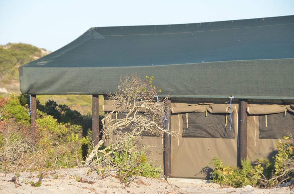 West Coast Luxury Tents Dwarskersbos Exteriör bild
