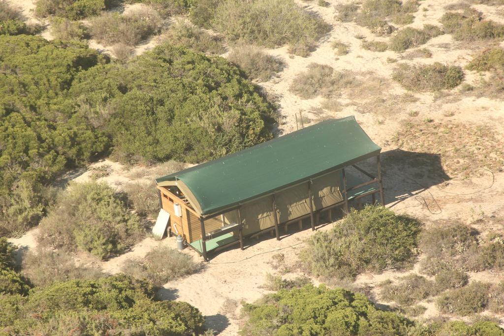 West Coast Luxury Tents Dwarskersbos Exteriör bild