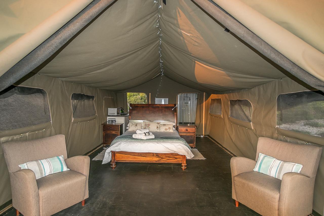 West Coast Luxury Tents Dwarskersbos Exteriör bild